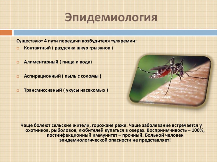 Туляремия. Памятка для населения.